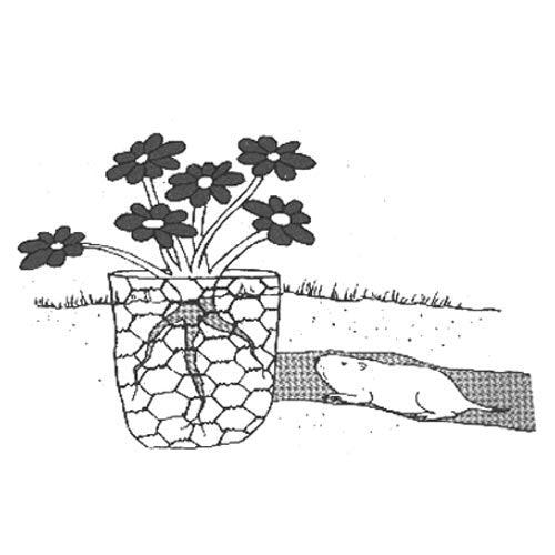 Gopher Wire (3' x 100' roll)