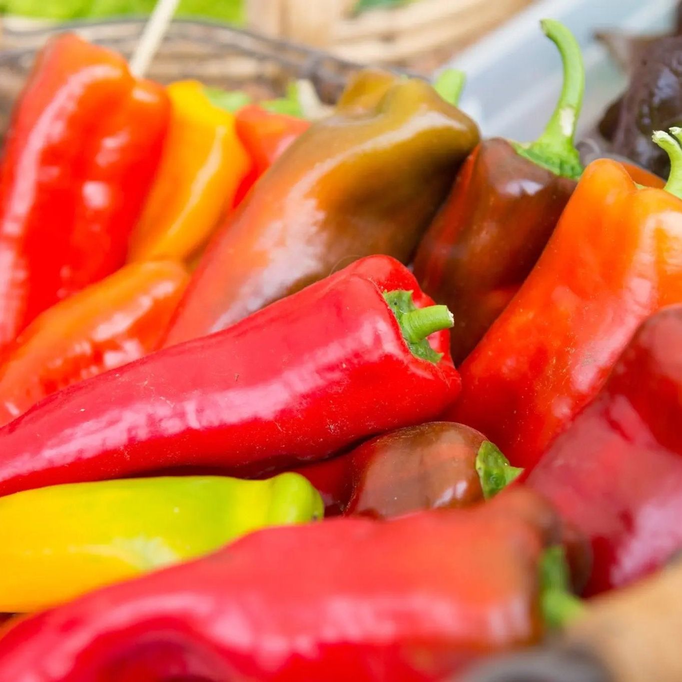 Pepper Seeds - Hot - Hungarian Hot Wax Peppers