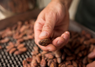 Herbaceous Green Sichuan Pepper