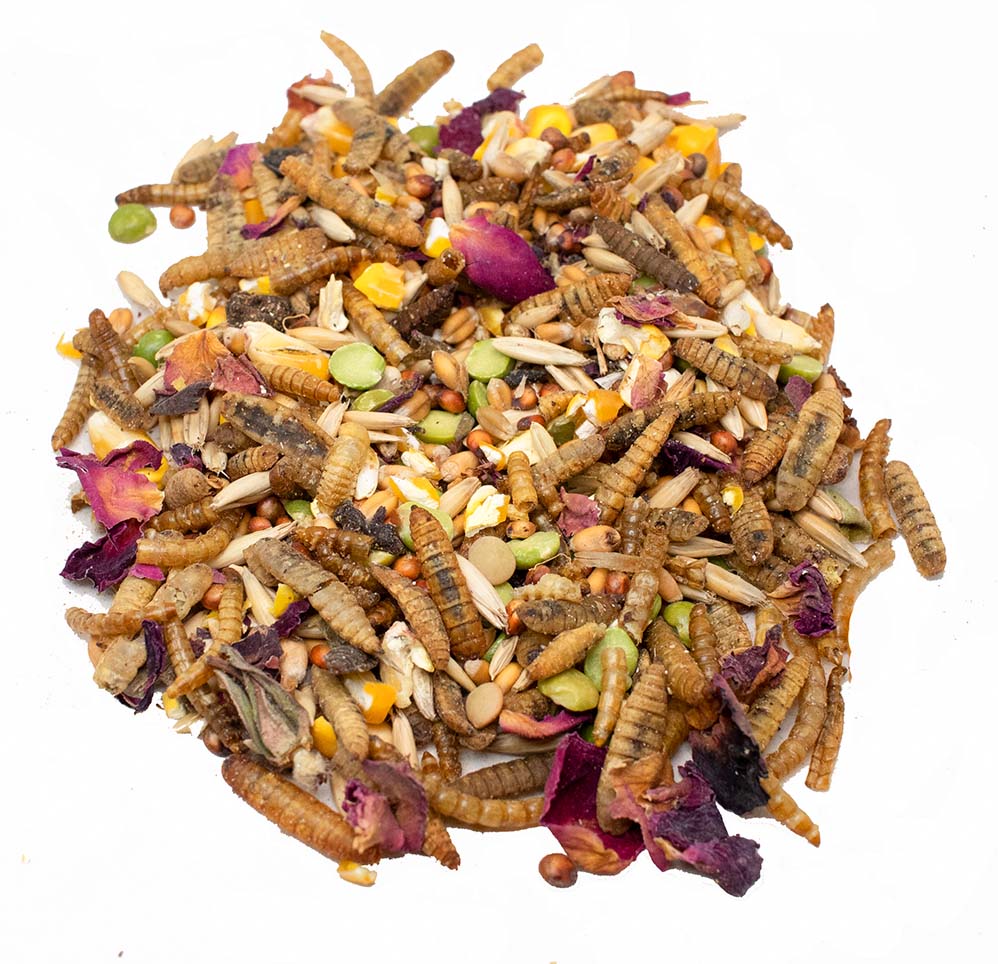 Rainbow Burst Textured Treat To Encourage Natural Behaviors