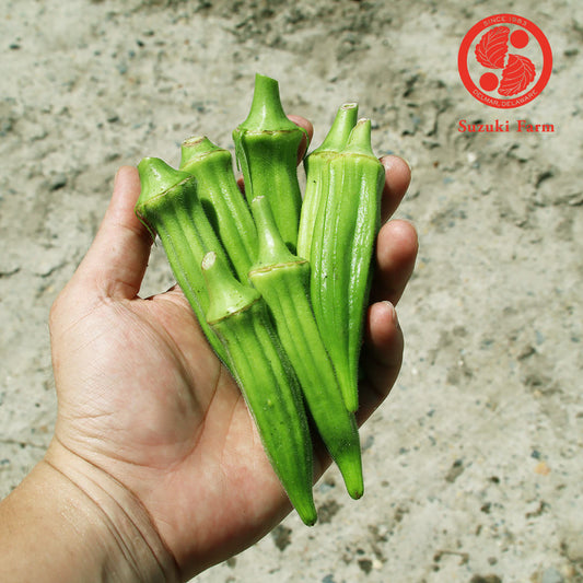 Okra | Suzuki Farm | 0.35lb