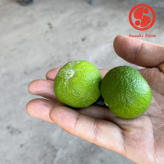 SUDACHI | Suzuki Farm | 2-3 pc