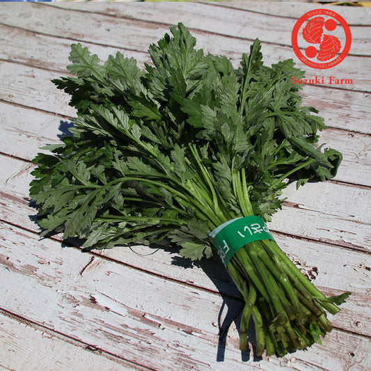 Yomogi (Japanese Mugwort) | Suzuki Farm | 0.5lb