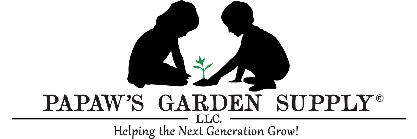 Jade Bush Green Bean Seeds
