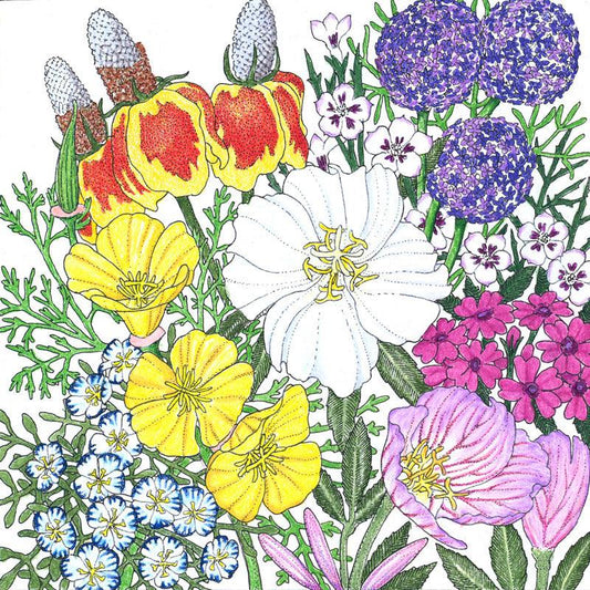 Southwest Wildflower Mix (Pack)