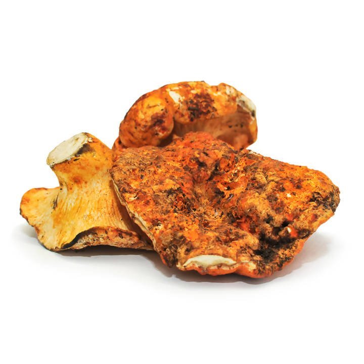Dried Wild Mushrooms Assortment