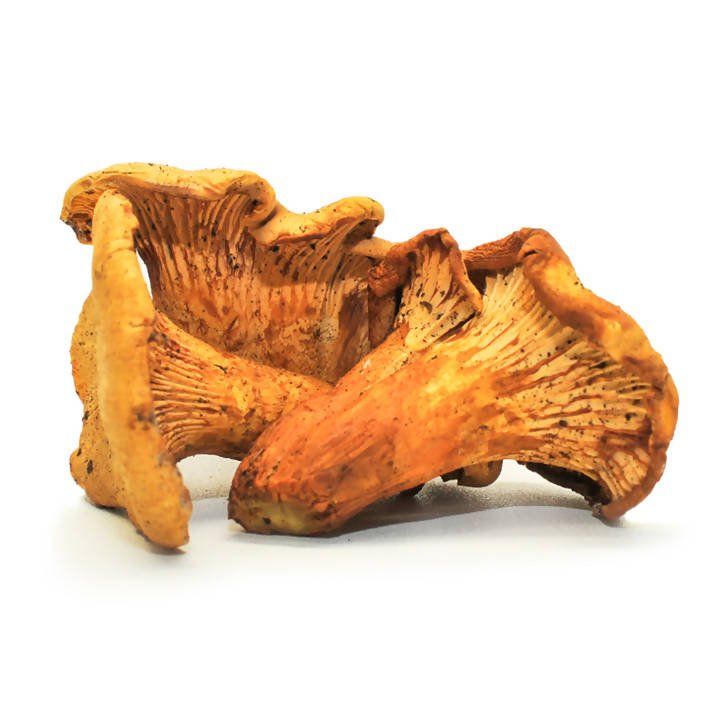Dried Wild Mushrooms Assortment