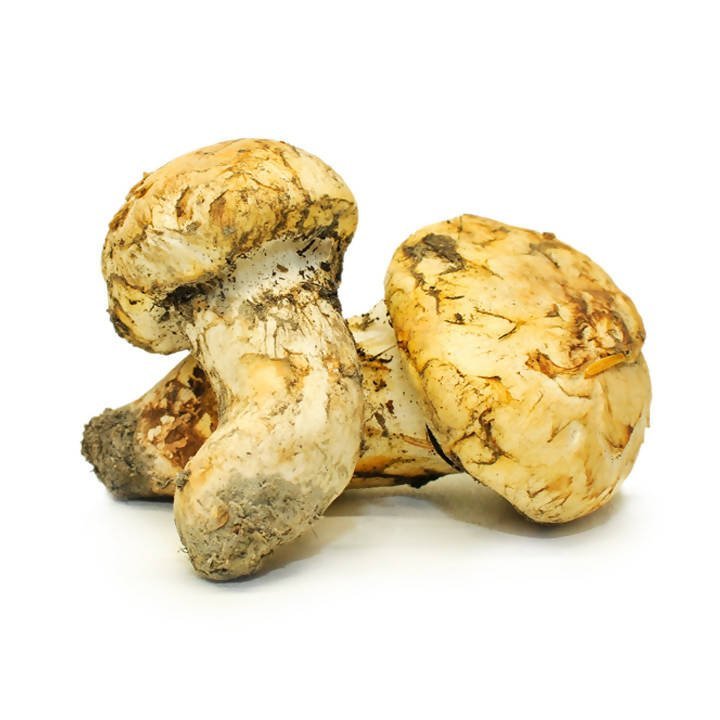 Dried Wild Mushrooms Assortment