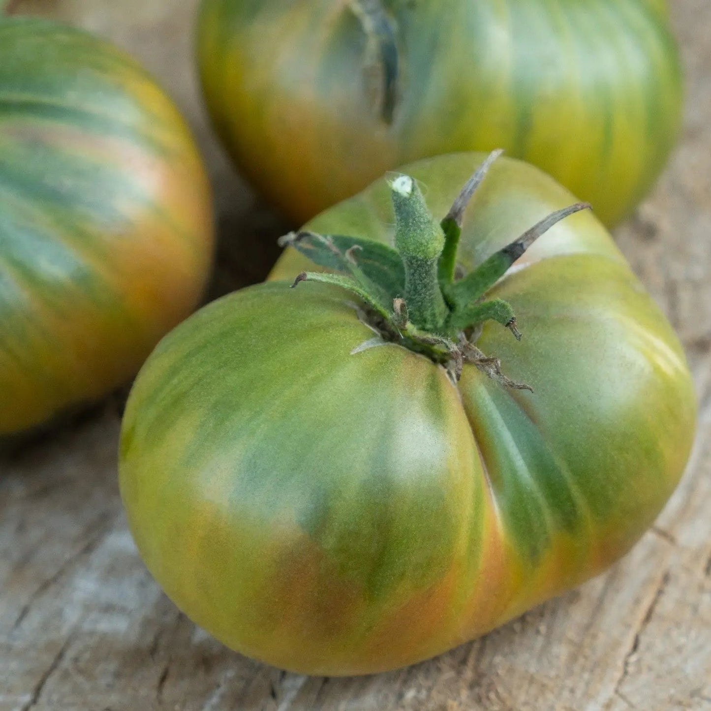 Tomato Seeds - Indeterminate - Cherokee Green Beefsteak