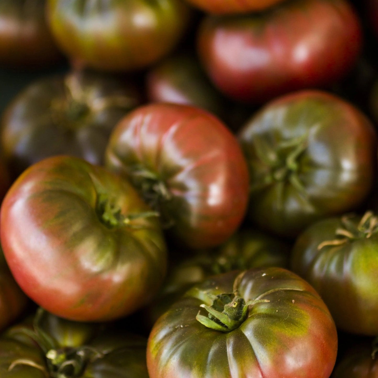 Tomato Seeds - Indeterminate - Cherokee Purple Tomato Standard