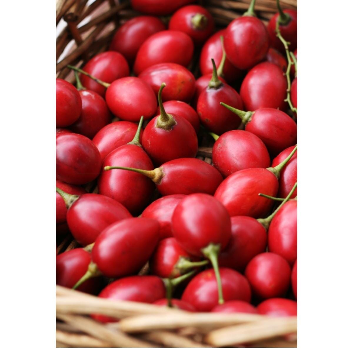Tomate de Arbol | Tree Tomato | Tamarillo
