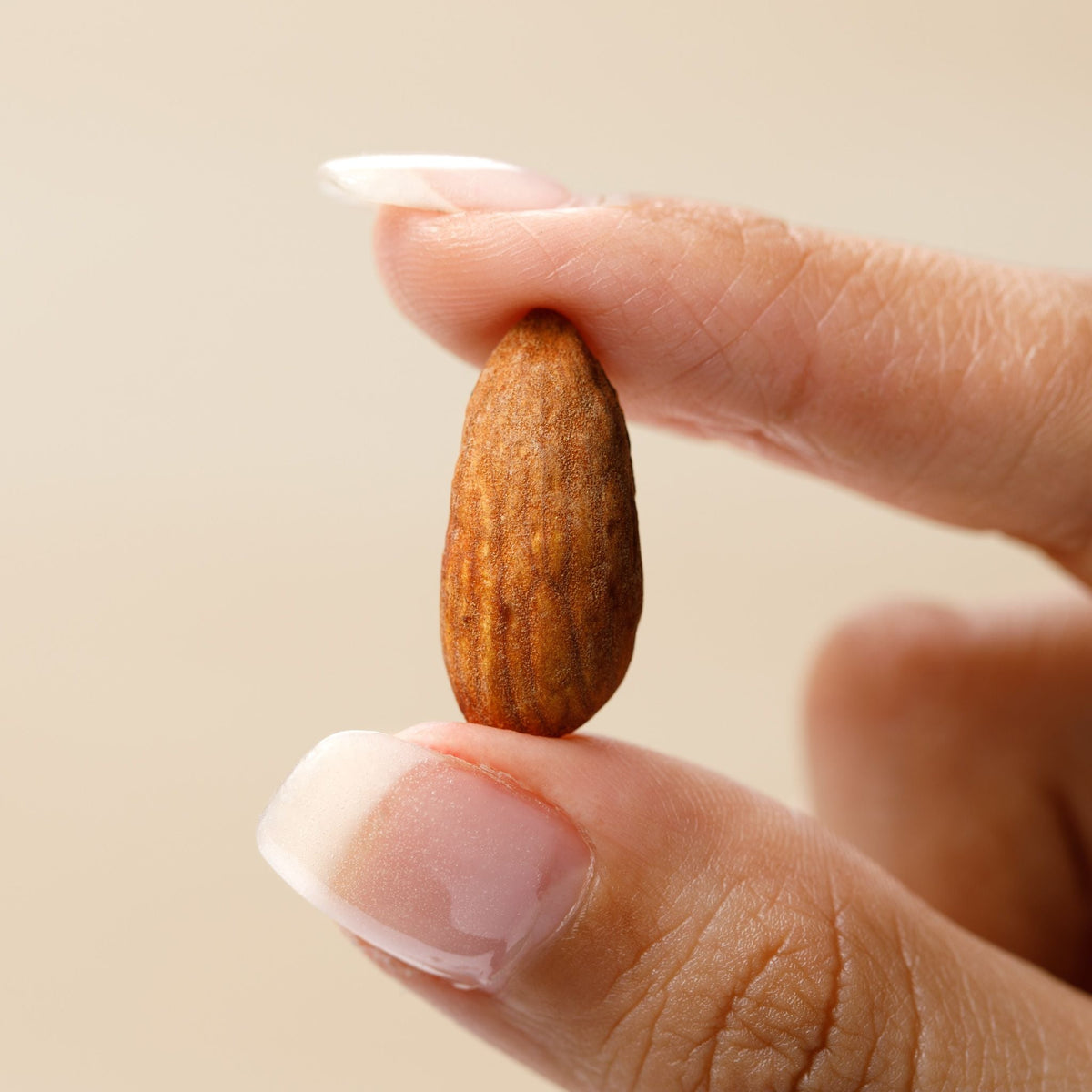 Gut Nuts - Fermented Almonds, image 4 of 4