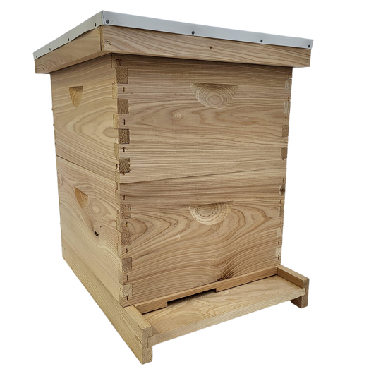 Foxhound Bee Company 10-frame cypress hive kit