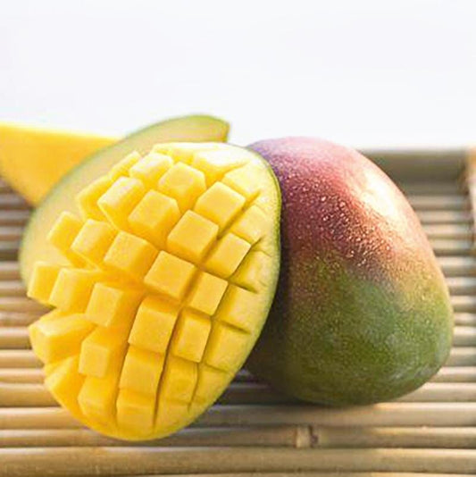 Everglades Farm grafted Carrie dwarf mango tree