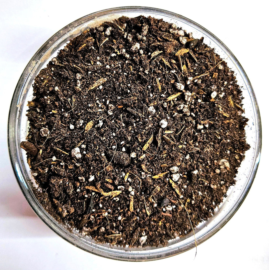 The Soil Makers Elico water-only living soil