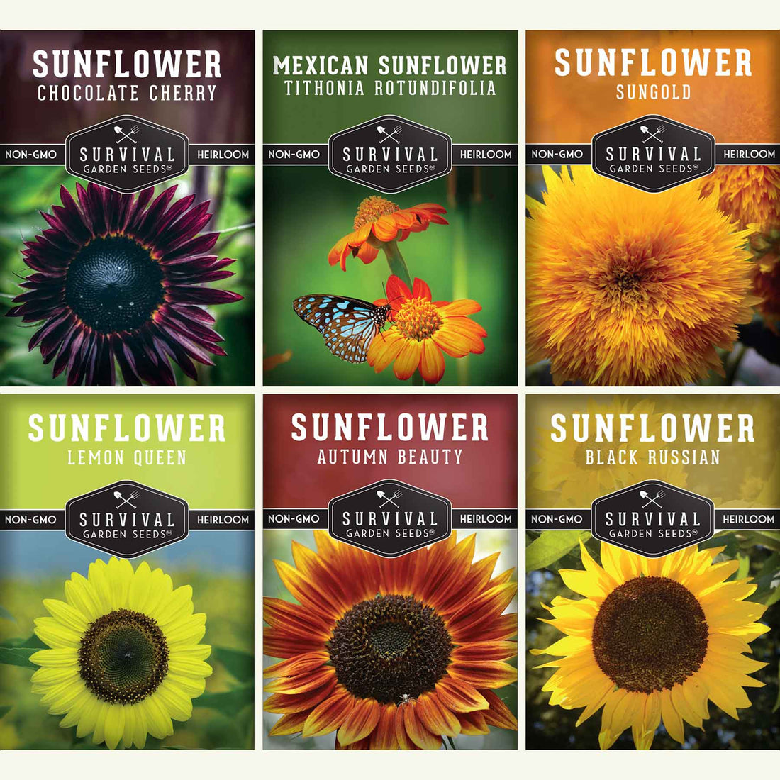 Non-GMO flower and pollinator seed collections at Madeline's