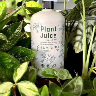 Elm Dirt Plant Juice organic liquid fertilizer
