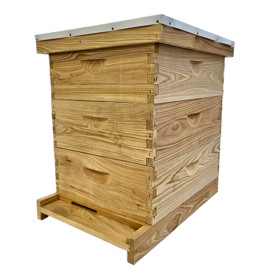 10-Frame All-Medium Box Hive Kit by Foxhound Bee Company