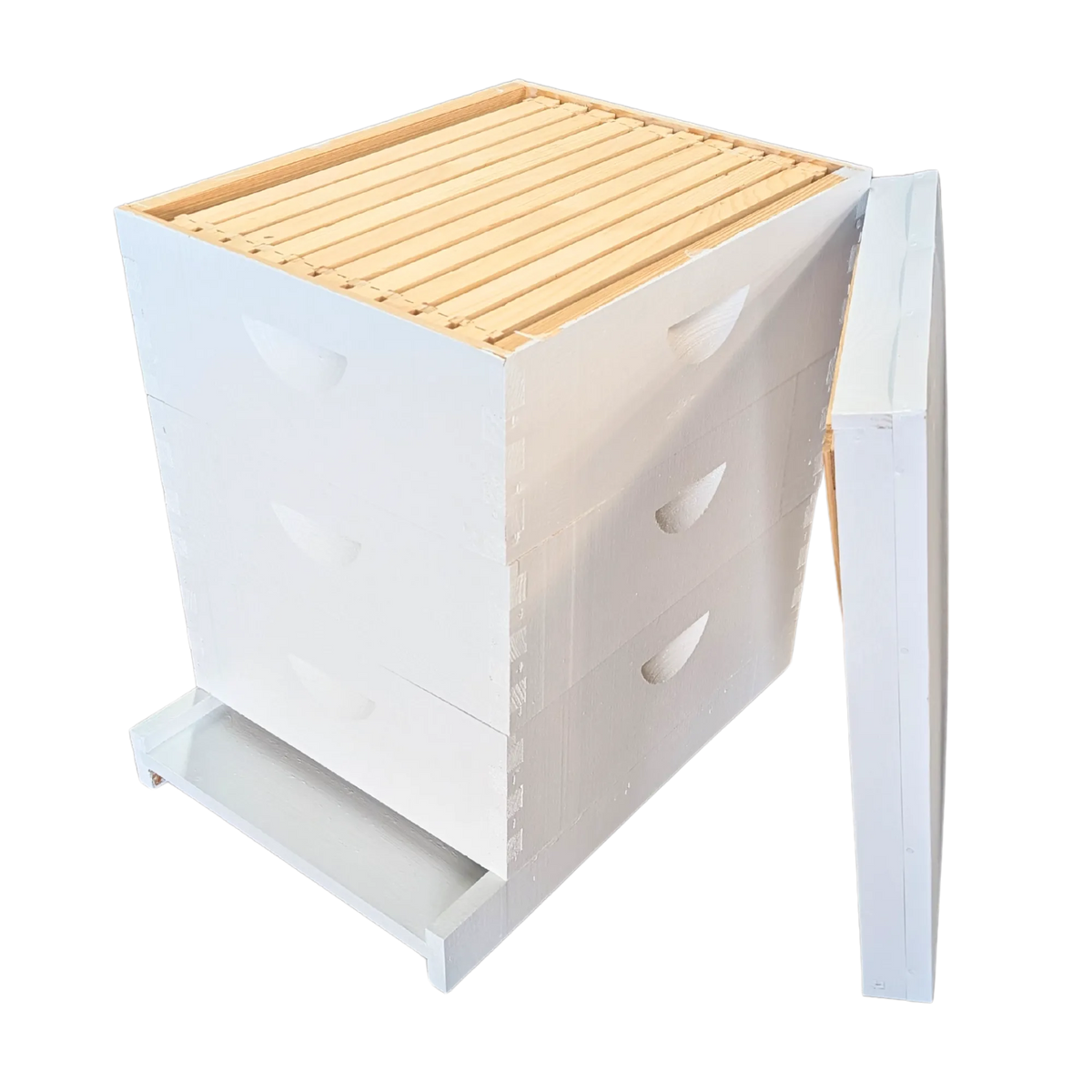 10-Frame All-Medium Box Hive Kit, image 26 of 26