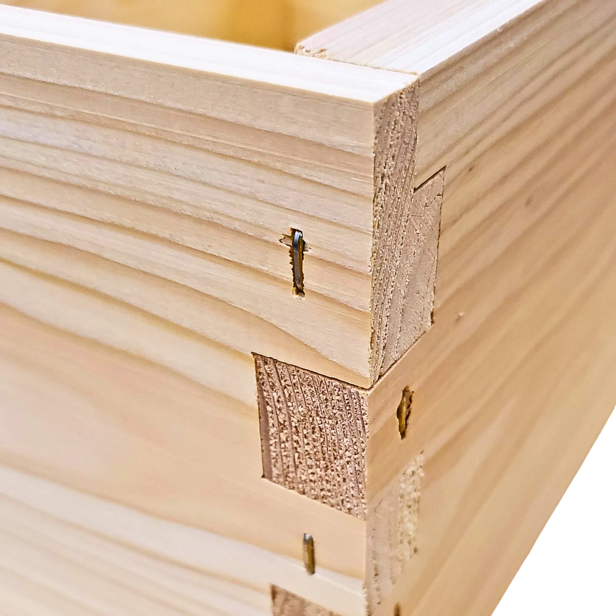 10-Frame All-Medium Box Hive Kit, image 13 of 26