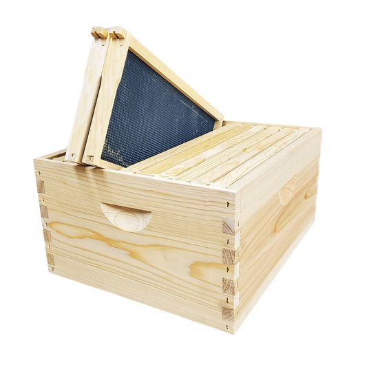 10-Frame Complete, Deep 9 5/8-inch Box with Frames and Foundation by Foxhound Bee Company