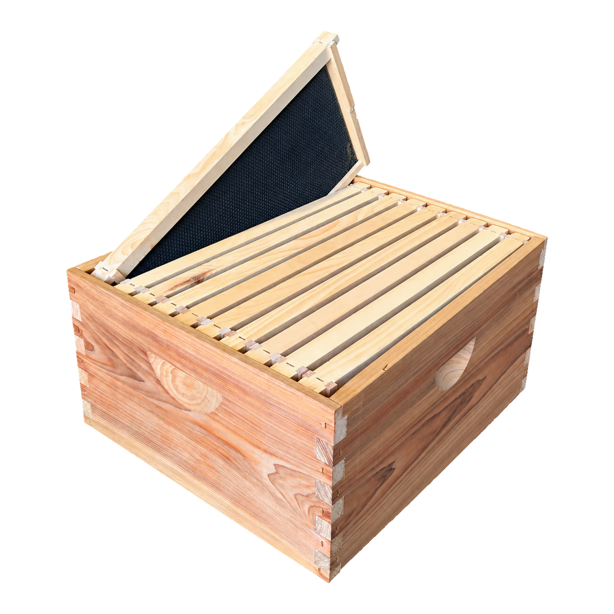 10-Frame Complete, Deep 9 5/8-inch Box with Frames and Foundation
