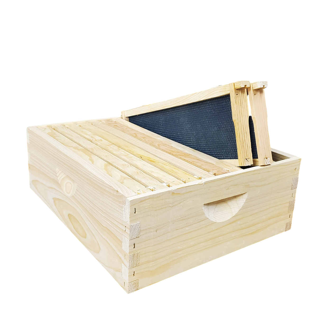 10-Frame Complete, Medium 6 5/8-inch Box with Frames and Foundation by Foxhound Bee Company