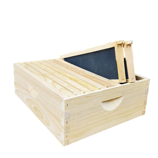 10-Frame Complete, Medium 6 5/8-inch Box with Frames and Foundation by Foxhound Bee Company