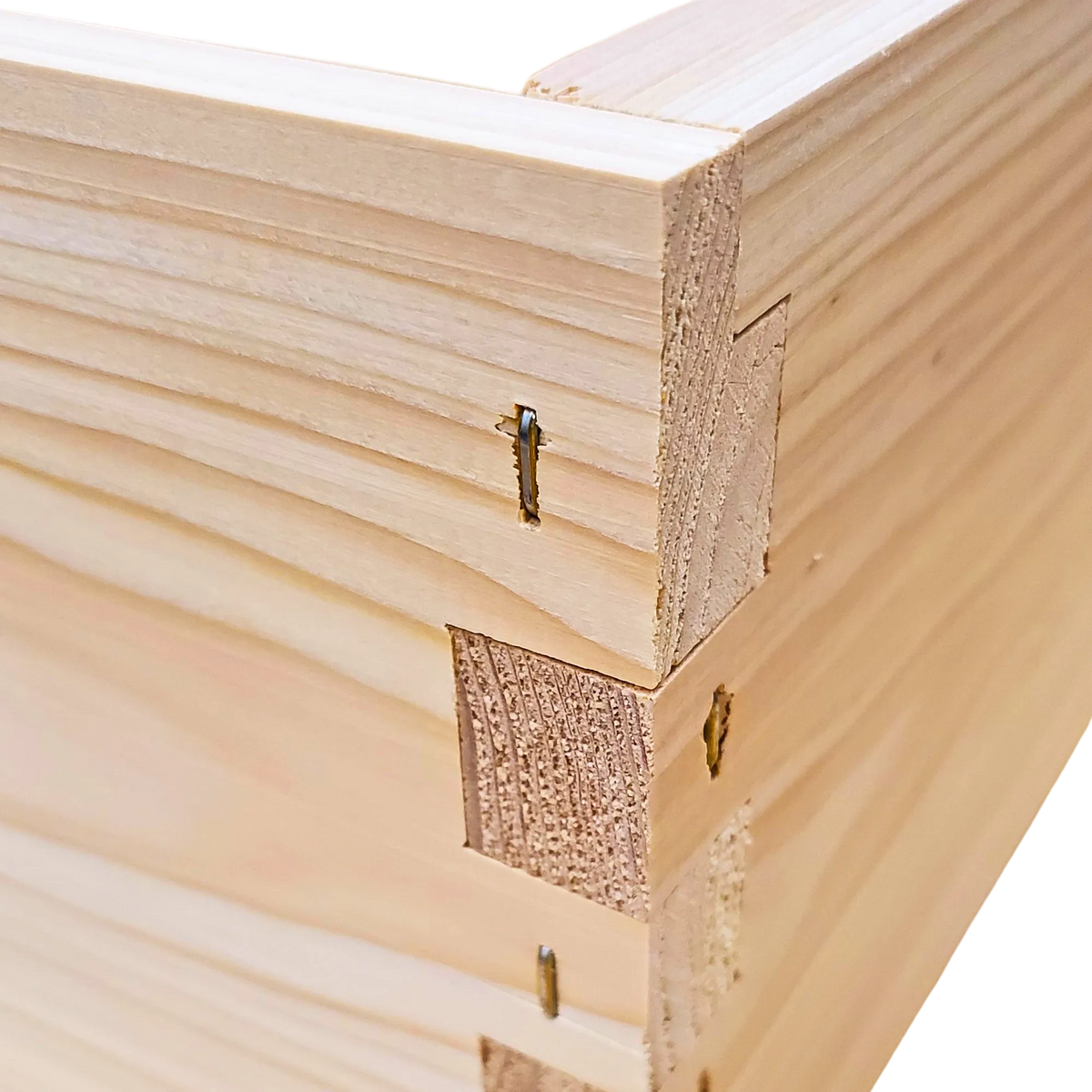 10-Frame Cypress Medium 6 5/8-inch Super Box, image 6 of 8