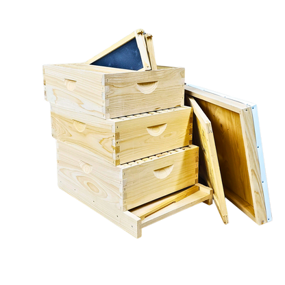 10-Frame All-Medium Box Hive Kit