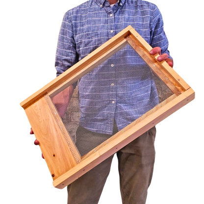 10-Frame All-Medium Box Hive Kit