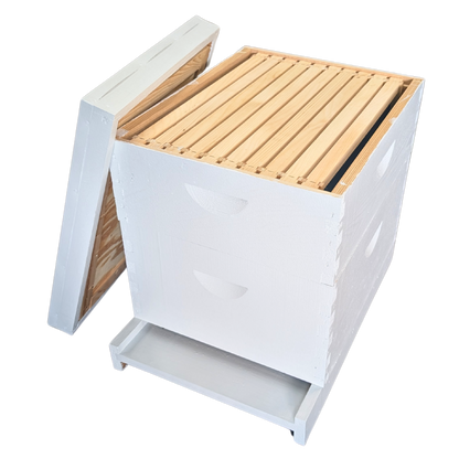 10-Frame Deep and Medium Box Hive Kit
