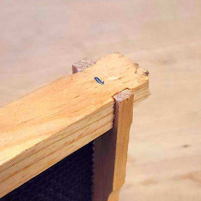 10-Frame Deep and Medium Box Hive Kit
