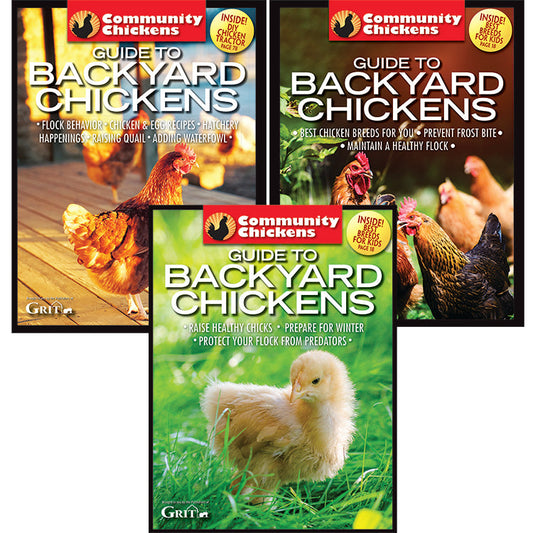 Community Chickens Guide To Backyard Chickens Set, Magazines from Mother Earth News