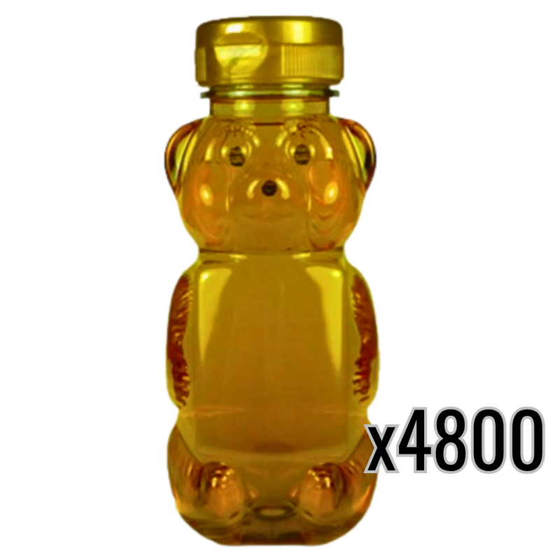 12 oz Plastic Flat Panel Honey Bears