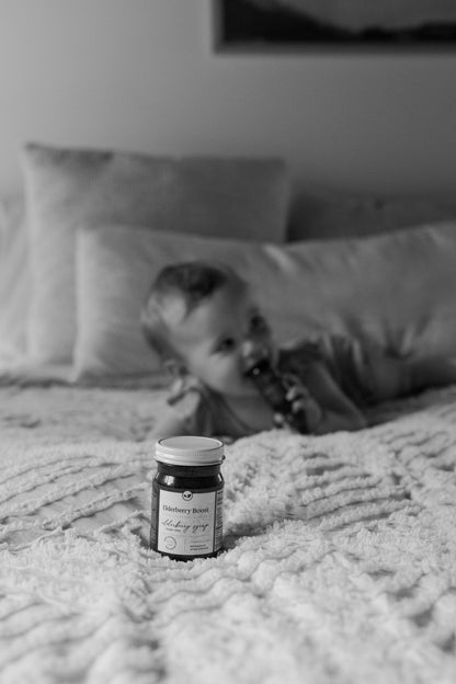 Elderberry Boost (4 oz) Honey-Free