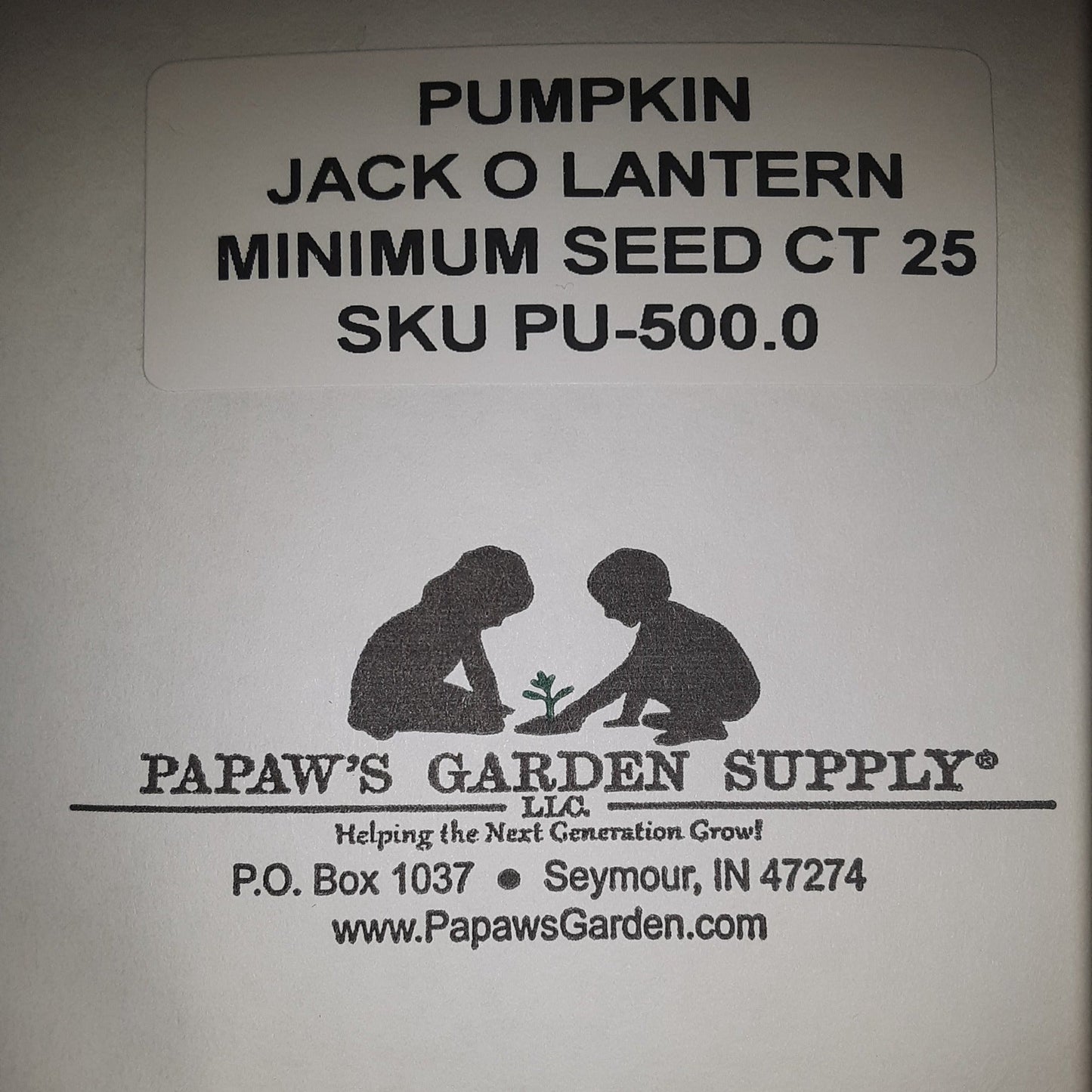 Jack O' Lantern Heirloom Pumpkin Seeds