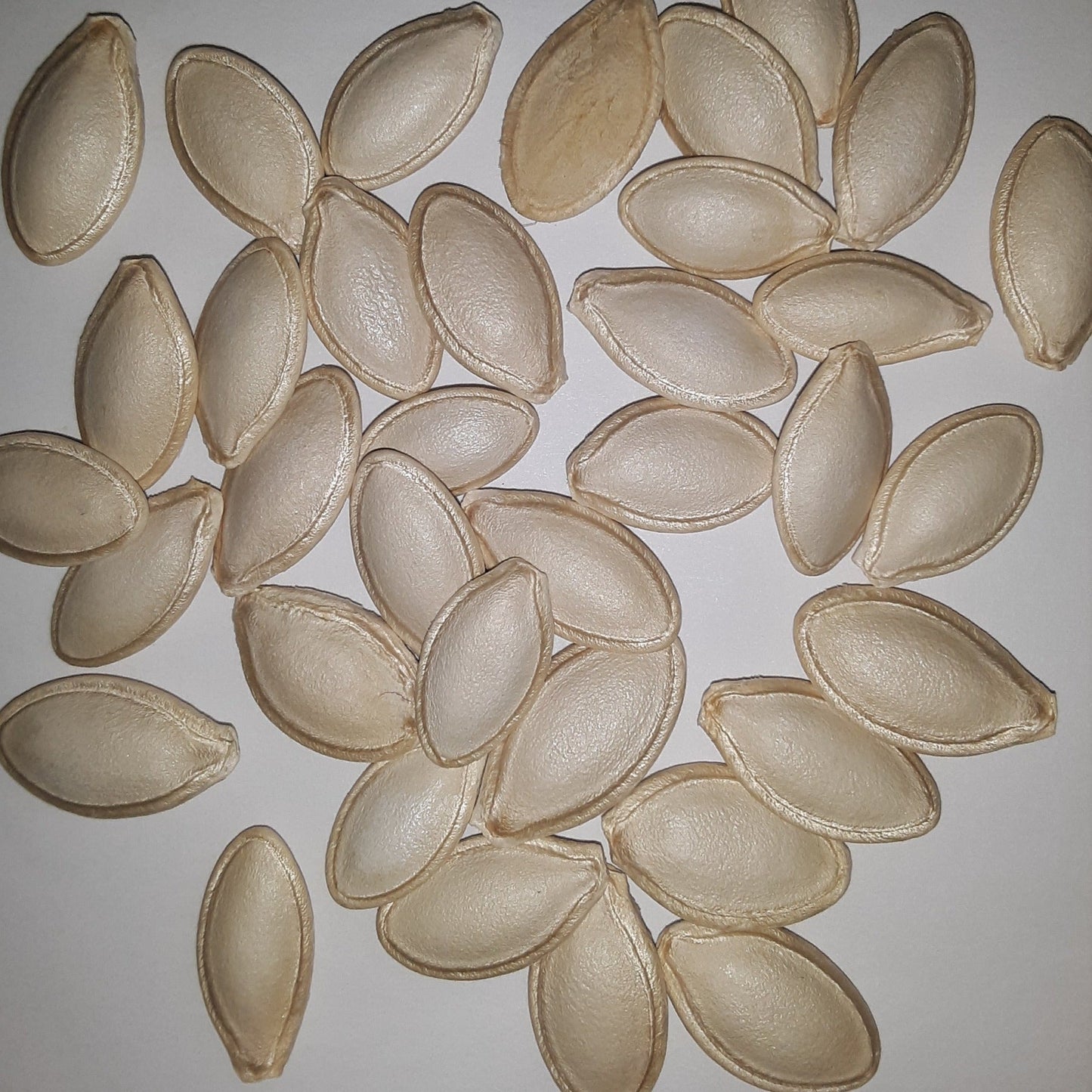 Cash Flow Hybrid Zucchini Summer Squash Seeds