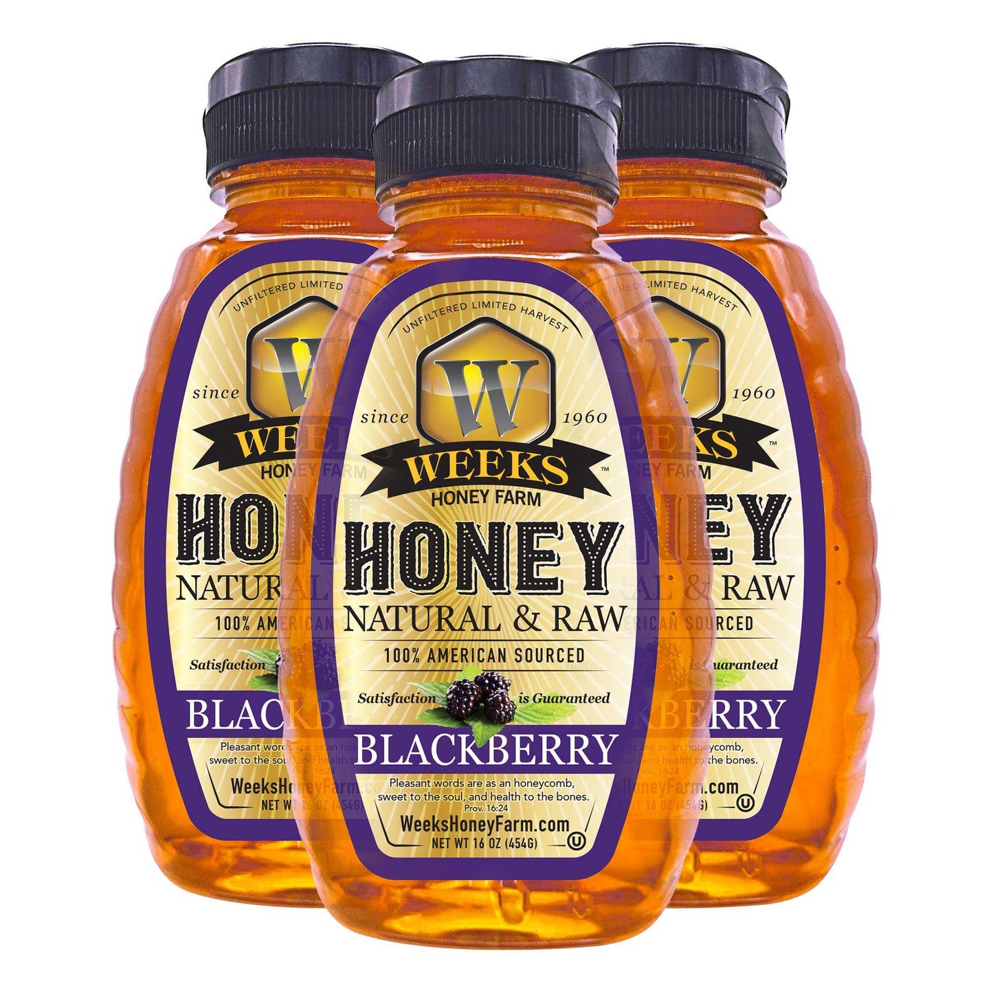 South Georgia Raw Blackberry Honey - Pure, Local, Mono-Floral Raw Honey