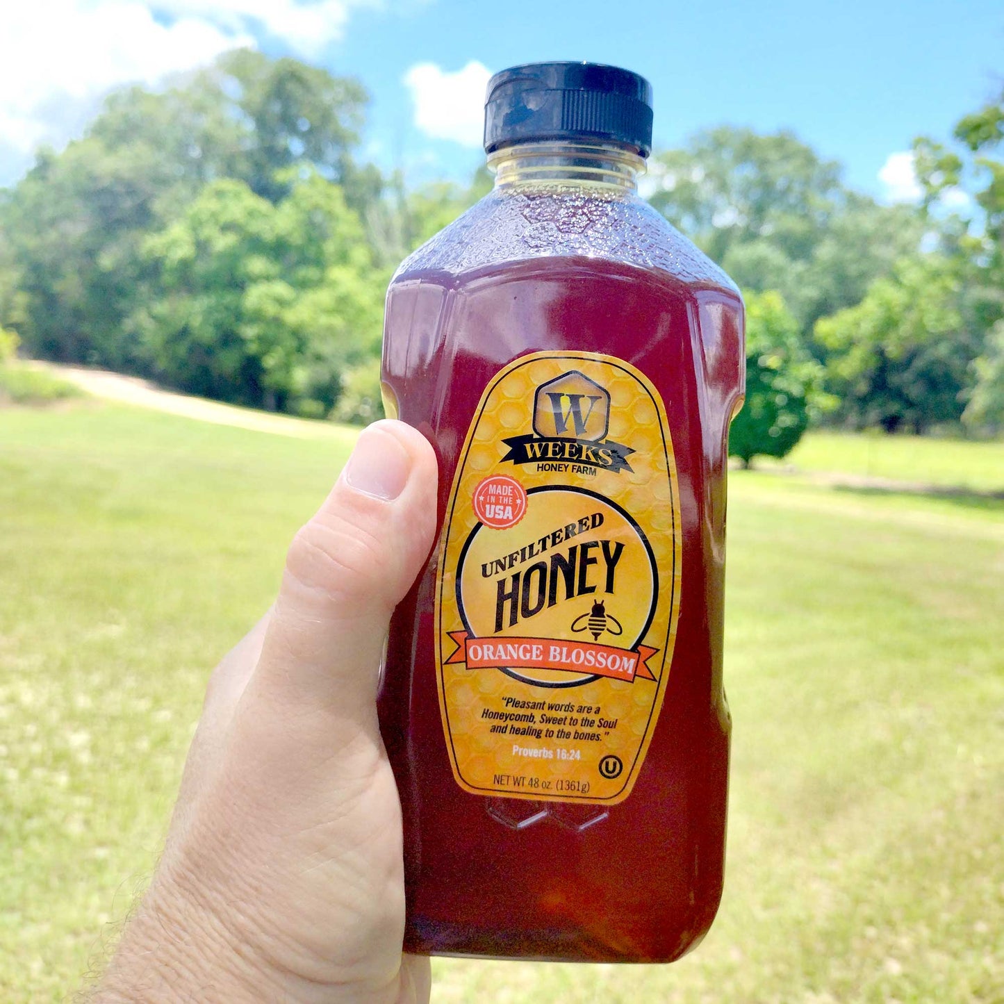 Pure Raw American Orange Blossom Honey - Unfiltered, All-Natural Citrus Sweetness