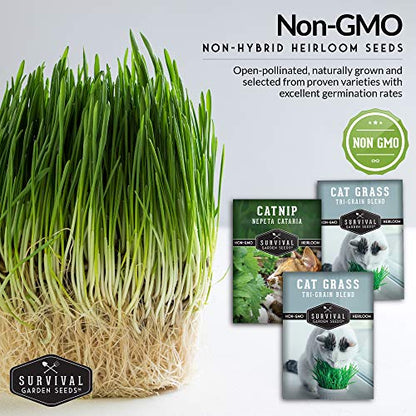 Cat Herb Seed Collection - Catnip & Cat Grass Seed Packets