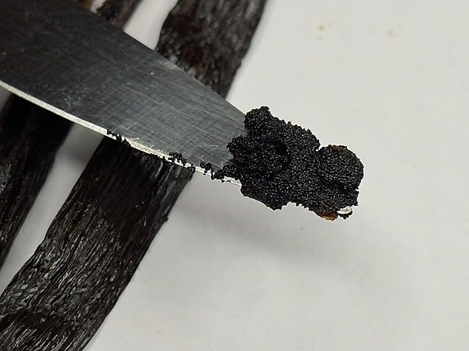 25 Premium Whole Ugandan Vanilla Beans Grade A  - For making Vanilla Extract