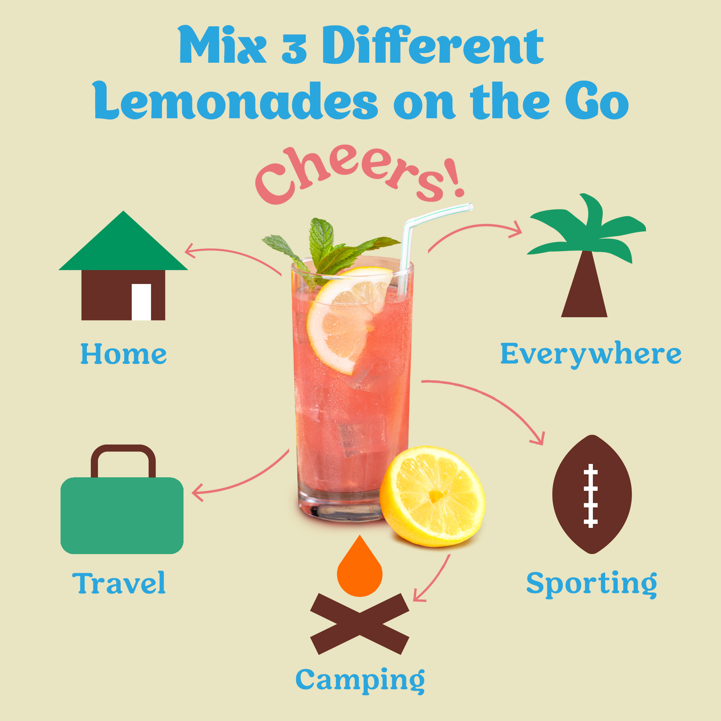 Lemonade Variety 12 Pack - 3rd Party