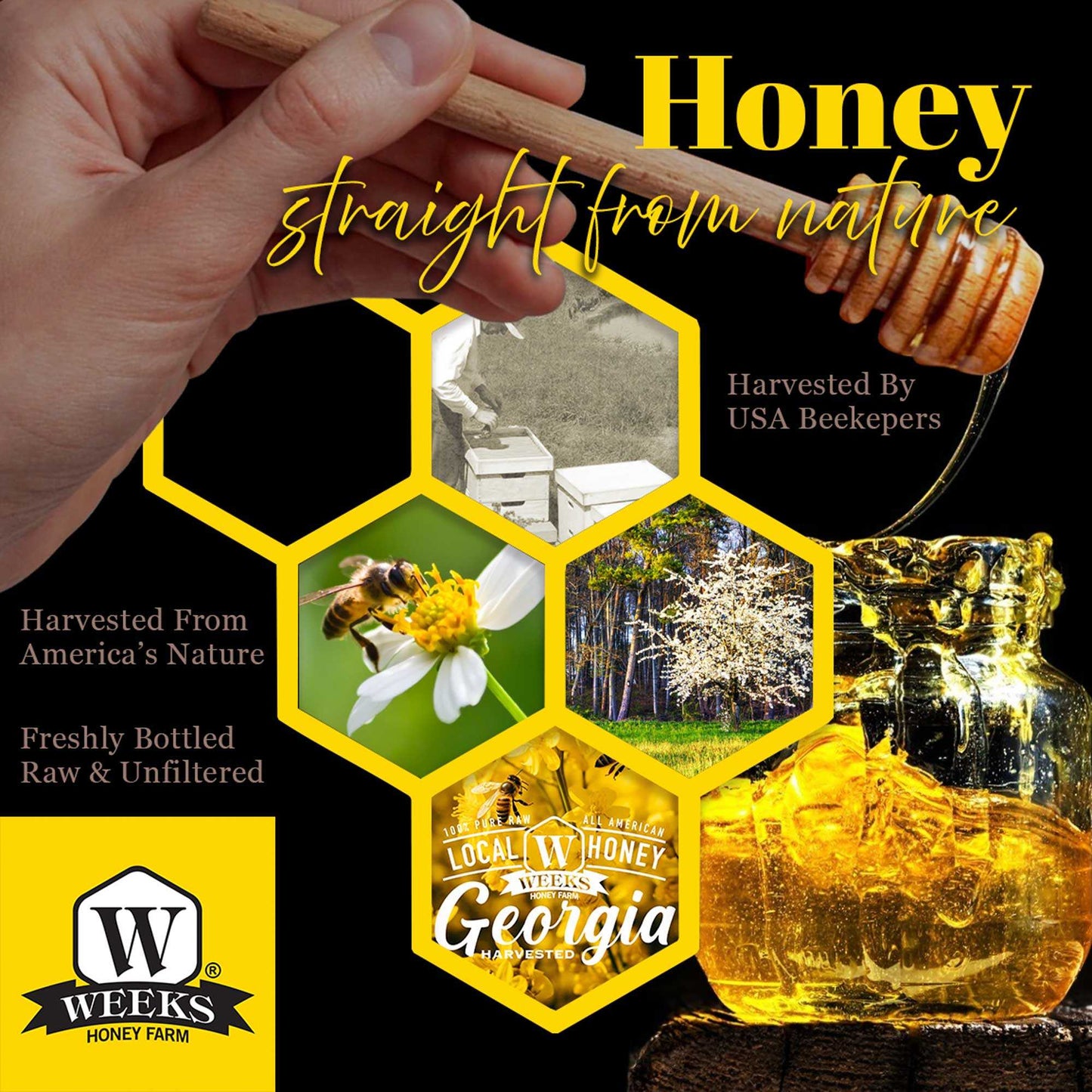 Our Best All-Natural Pure Raw Gallberry Honey