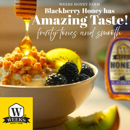 South Georgia Raw Blackberry Honey - Pure, Local, Mono-Floral Raw Honey