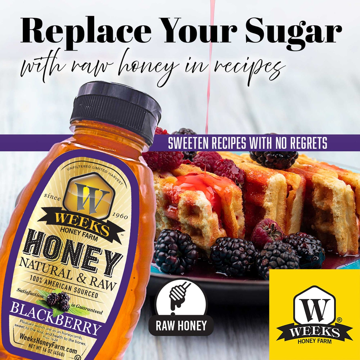 South Georgia Raw Blackberry Honey - Pure, Local, Mono-Floral Raw Honey