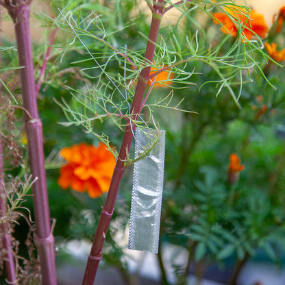 Aluminum Plant Tags (Box of 500)