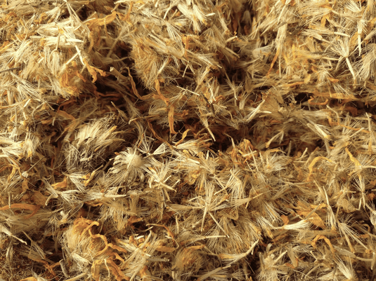 Arnica Flowers, Whole, Health & Beauty from Country Life Natural Foods