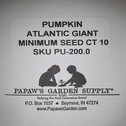 Atlantic Giant Pumpkin Seeds