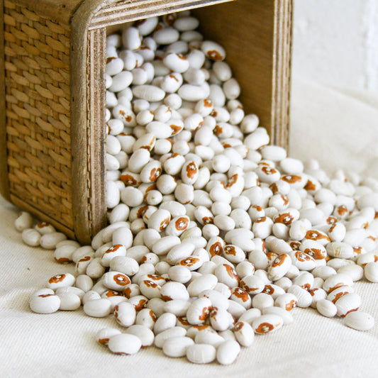 Kenearly Yellow Eye Bean (Bush)